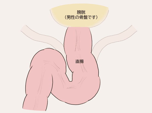 腹腔内観察と視野の確保